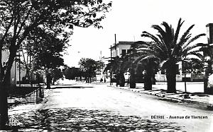 DETRIE - AVENUE DE TLEMCEN